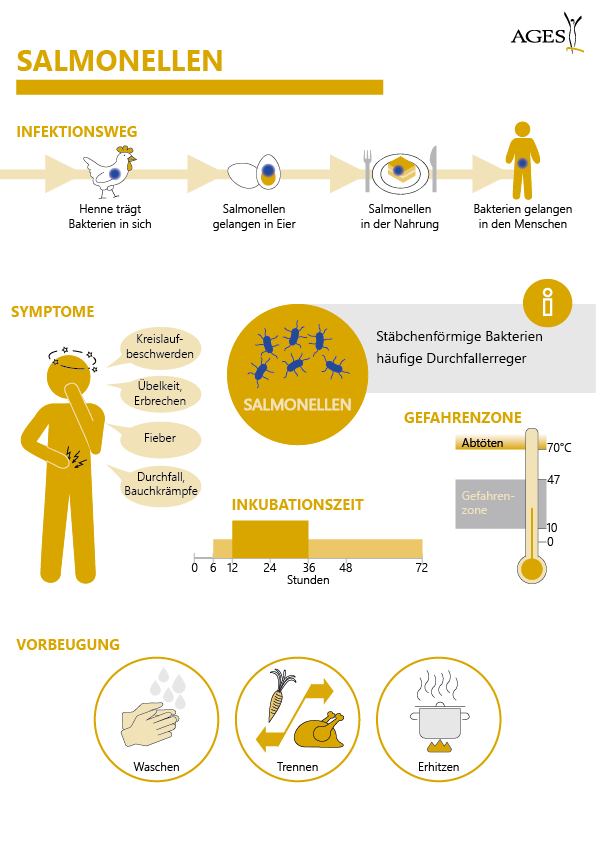 AGES Infographic