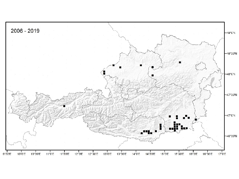 © AGES/Follak und Schwarz Karte Verbreitung in Österreich. Hauptverbreitungsgebiete sind die Steiermark und Kärnten, einzelne Funde auch in Ober- und Niederösterreich und Tirol