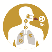 AGES Radon propagation in the lungs