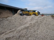 Sida chopped material during storage at the Höller nursery