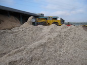 © AGES/Gansberger, Mayr Sida chopped material during storage at the Höller nursery