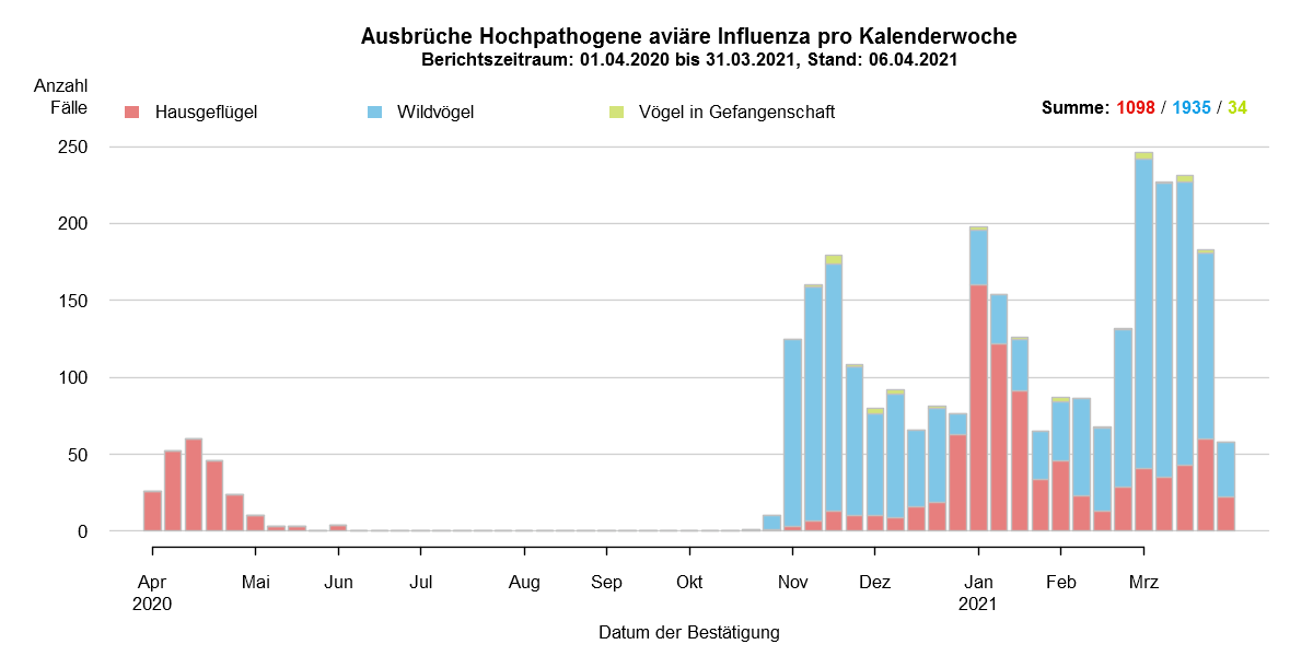 Verlaufsgrafik zu HPAI-Fällen in Europa: Im Zuge des Frühjahrzuges der Wildvögel im April und Mai wurden vermehrt Fälle bei Wildvögeln festgestellt. Mit Beginn des Herbstzuges ab November kam es zu einem drastischen Anstieg der Fälle bei Wildvögeln mit steigenden Fallzahlen auch beim Hausgeflügel. Im Januar kam es zu einem erneuten starken Anstieg der Fälle, wobei hauptsächlich Hausgeflügel betroffen war. Ab Februar sind hingegen sind wieder hauptsächlich Wildvögel betroffen. Die Fallzahlen steigen im März auf einen Höchststand im Seuchenverlauf.