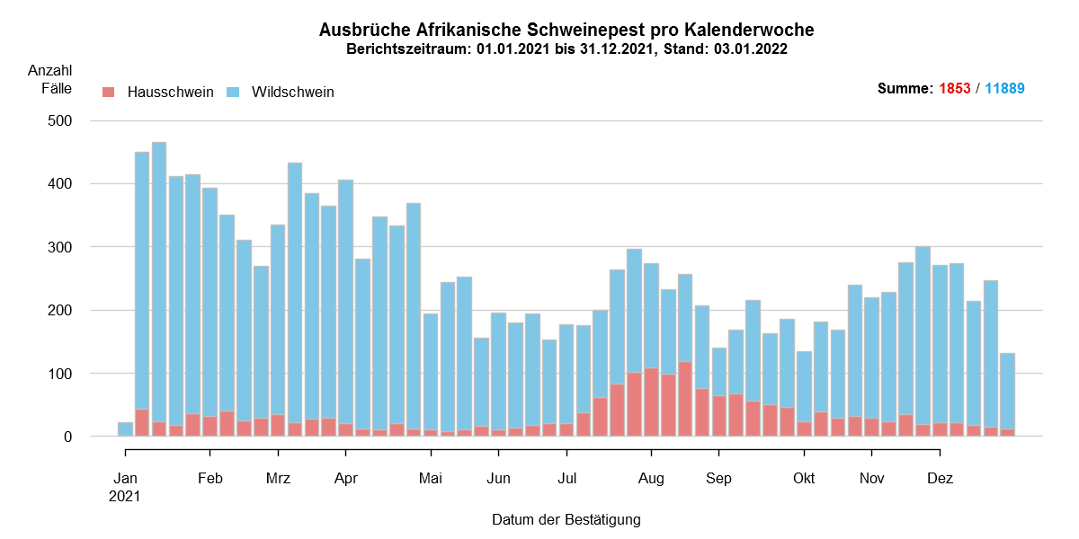 Verlaufsgrafik zu ASP-Fällen in Europa: Die Anzahl der gemeldeten ASP-Fälle beim Wildschwein stieg in den kälteren Wintermonaten, während die Zahl der Fälle bei Hausschweinen in den Sommermonaten, ab Juli/August, anstieg. Im Dezember ist die Anzahl der ASP-Fälle bei Wildschweinen leicht gestiegen und bei Hausschweinen gesunken. Eine Detailbeschreibung finden Sie im Kapitel "Situation in Europa" und im Kapitel "Kommentar".