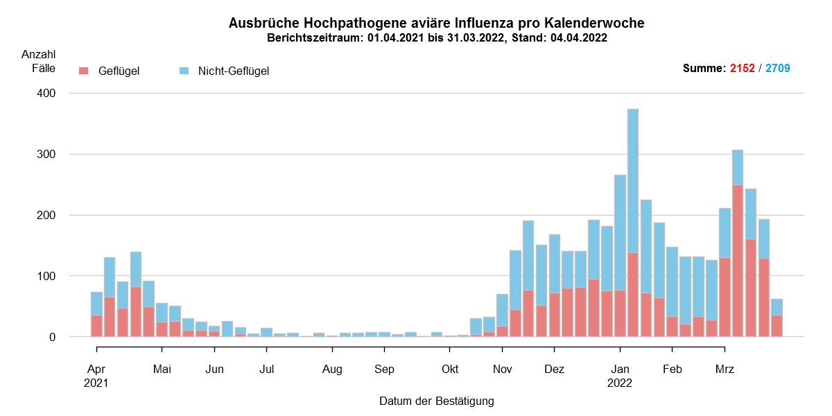 Verlaufsgrafik zu HPAI-Fällen in Europa: Im Zuge des Frühjahrzuges der Wildvögel im April und Mai 2021 wurden vermehrt Fälle bei Wildvögeln festgestellt. Auch in den Sommermonaten wurde durchgehend eine geringe Fallzahl von HPAI bei Nicht-Geflügel eingemeldet. Mit Beginn des Herbstzuges ab November 2021 kam es zu einem drastischen Anstieg der Fälle bei Wildvögeln mit steigenden Fallzahlen auch beim Hausgeflügel. Im Januar 2022 kam es zu einem erneuten starken Anstieg der Fälle, wobei hauptsächlich Wildvögel betroffen waren. Ab Februar sind die Fallzahlen wieder rückläufig, im März folgte ein starker Anstieg der Fallzahlen bei Geflügel durch zwei Cluster im Westen Frankreichs.