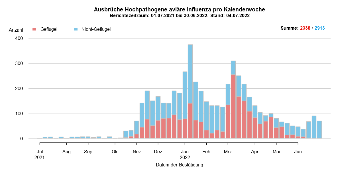 Verlaufsgrafik zu HPAI-Fällen in Europa: Im Zuge des Frühjahrzuges der Wildvögel im April und Mai 2021 wurden vermehrt Fälle bei Wildvögeln festgestellt. Auch in den Sommermonaten wurde durchgehend eine geringe Fallzahl von HPAI bei Nicht-Geflügel eingemeldet. Mit Beginn des Herbstzuges ab November 2021 kam es zu einem drastischen Anstieg der Fälle bei Wildvögeln mit steigenden Fallzahlen auch beim Hausgeflügel. Im Januar 2022 kam es zu einem erneuten starken Anstieg der Fälle, wobei hauptsächlich Wildvögel betroffen waren. Ab Februar sind die Fallzahlen wieder rückläufig, im März folgte ein starker Anstieg der Fallzahlen bei Geflügel durch zwei Cluster im Westen Frankreichs. Mit Beginn der Sommermonate 2022 sinken die Ausbruchszahlen in Europa stark. Das Seuchengeschehen kommt jedoch nicht ganz zum Erliegen und Ende Juni steigt die Zahl der gemeldeten Ausbrüche wieder leicht.