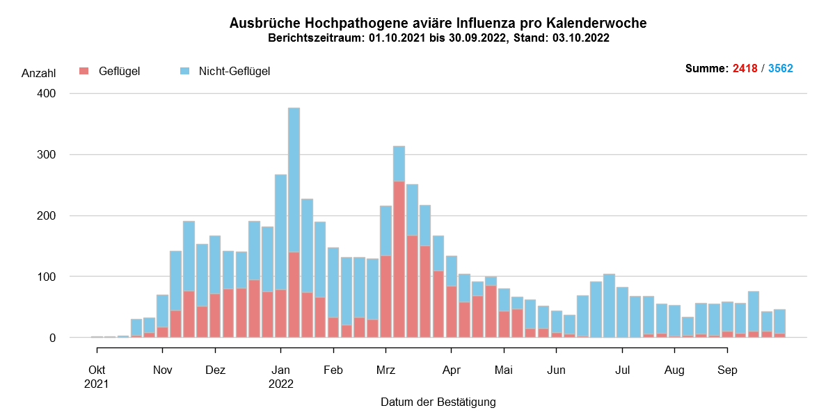 Verlaufsgrafik zu HPAI-Fällen in Europa: Im Zuge des Frühjahrzuges der Wildvögel im April und Mai 2021 wurden vermehrt Fälle bei Wildvögeln festgestellt. Auch in den Sommermonaten wurde durchgehend eine geringe Fallzahl von HPAI bei Nicht-Geflügel eingemeldet. Mit Beginn des Herbstzuges ab November 2021 kam es zu einem drastischen Anstieg der Fälle bei Wildvögeln mit steigenden Fallzahlen auch beim Hausgeflügel. Im Januar 2022 kam es zu einem erneuten starken Anstieg der Fälle, wobei hauptsächlich Wildvögel betroffen waren. Ab Februar sind die Fallzahlen wieder rückläufig, im März folgte ein starker Anstieg der Fallzahlen bei Geflügel durch zwei Cluster im Westen Frankreichs. Mit Beginn der Sommermonate 2022 sinken die Ausbruchszahlen in Europa stark. Das Seuchengeschehen kommt jedoch nicht ganz zum Erliegen und Ende Juni steigt die Zahl der gemeldeten Ausbrüche wieder leicht.