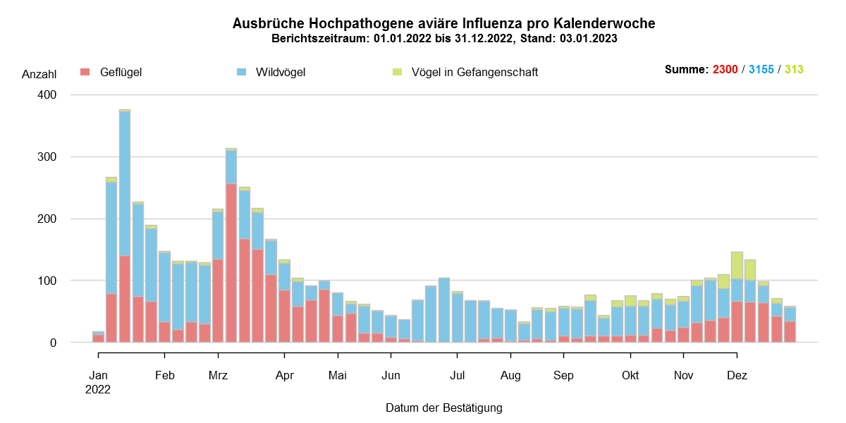 Verlaufsgrafik zu HPAI-Fällen in Europa: Im Zuge des Frühjahrzuges der Wildvögel im April und Mai 2021 wurden vermehrt Fälle bei Wildvögeln festgestellt. Auch in den Sommermonaten wurde durchgehend eine geringe Fallzahl von HPAI bei Nicht-Geflügel eingemeldet. Mit Beginn des Herbstzuges ab November 2021 kam es zu einem drastischen Anstieg der Fälle bei Wildvögeln mit steigenden Fallzahlen auch beim Hausgeflügel. Im Januar 2022 kam es zu einem erneuten starken Anstieg der Fälle, wobei hauptsächlich Wildvögel betroffen waren. Ab Februar sind die Fallzahlen wieder rückläufig, im März folgte ein starker Anstieg der Fallzahlen bei Geflügel durch zwei Cluster im Westen Frankreichs. Mit Beginn der Sommermonate 2022 sinken die Ausbruchszahlen in Europa stark. Das Seuchengeschehen kommt jedoch nicht ganz zum Erliegen und Ende Juni steigt die Zahl der gemeldeten Ausbrüche wieder leicht.