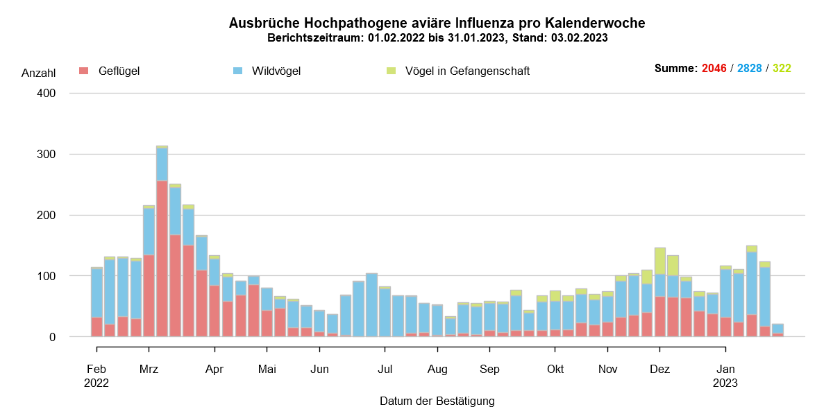 Verlaufsgrafik zu HPAI-Fällen in Europa: Im Zuge des Frühjahrzuges der Wildvögel im April und Mai 2021 wurden vermehrt Fälle bei Wildvögeln festgestellt. Auch in den Sommermonaten wurde durchgehend eine geringe Fallzahl von HPAI bei Nicht-Geflügel eingemeldet. Mit Beginn des Herbstzuges ab November 2021 kam es zu einem drastischen Anstieg der Fälle bei Wildvögeln mit steigenden Fallzahlen auch beim Hausgeflügel. Im Januar 2022 kam es zu einem erneuten starken Anstieg der Fälle, wobei hauptsächlich Wildvögel betroffen waren. Ab Februar sind die Fallzahlen wieder rückläufig, im März folgte ein starker Anstieg der Fallzahlen bei Geflügel durch zwei Cluster im Westen Frankreichs. Mit Beginn der Sommermonate 2022 sinken die Ausbruchszahlen in Europa stark. Das Seuchengeschehen kommt jedoch nicht ganz zum Erliegen und Ende Juni steigt die Zahl der gemeldeten Ausbrüche wieder leicht.