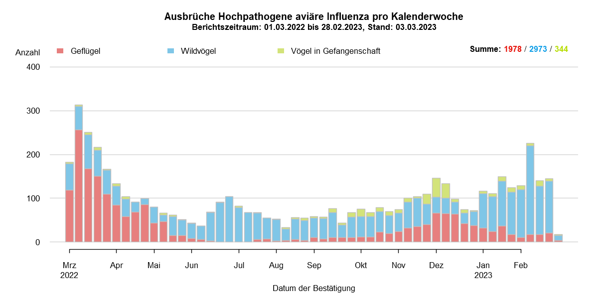 Verlaufsgrafik zu HPAI-Fällen in Europa: Im Zuge des Frühjahrzuges der Wildvögel im April und Mai 2021 wurden vermehrt Fälle bei Wildvögeln festgestellt. Auch in den Sommermonaten wurde durchgehend eine geringe Fallzahl von HPAI bei Nicht-Geflügel eingemeldet. Mit Beginn des Herbstzuges ab November 2021 kam es zu einem drastischen Anstieg der Fälle bei Wildvögeln mit steigenden Fallzahlen auch beim Hausgeflügel. Im Januar 2022 kam es zu einem erneuten starken Anstieg der Fälle, wobei hauptsächlich Wildvögel betroffen waren. Ab Februar sind die Fallzahlen wieder rückläufig, im März folgte ein starker Anstieg der Fallzahlen bei Geflügel durch zwei Cluster im Westen Frankreichs. Mit Beginn der Sommermonate 2022 sinken die Ausbruchszahlen in Europa stark. Das Seuchengeschehen kommt jedoch nicht ganz zum Erliegen und Ende Juni steigt die Zahl der gemeldeten Ausbrüche wieder leicht.