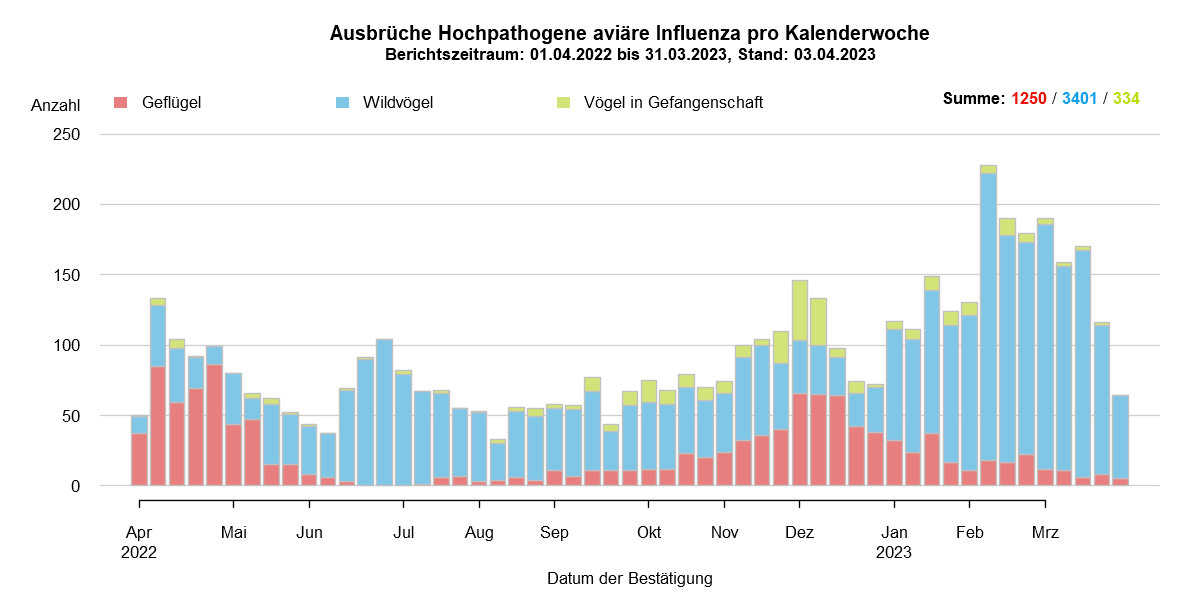 Verlaufsgrafik zu HPAI-Fällen in Europa: Im Zuge des Frühjahrzuges der Wildvögel im April und Mai 2021 wurden vermehrt Fälle bei Wildvögeln festgestellt. Auch in den Sommermonaten wurde durchgehend eine geringe Fallzahl von HPAI bei Nicht-Geflügel eingemeldet. Mit Beginn des Herbstzuges ab November 2021 kam es zu einem drastischen Anstieg der Fälle bei Wildvögeln mit steigenden Fallzahlen auch beim Hausgeflügel. Im Januar 2022 kam es zu einem erneuten starken Anstieg der Fälle, wobei hauptsächlich Wildvögel betroffen waren. Ab Februar sind die Fallzahlen wieder rückläufig, im März folgte ein starker Anstieg der Fallzahlen bei Geflügel durch zwei Cluster im Westen Frankreichs. Mit Beginn der Sommermonate 2022 sinken die Ausbruchszahlen in Europa stark. Das Seuchengeschehen kommt jedoch nicht ganz zum Erliegen und Ende Juni steigt die Zahl der gemeldeten Ausbrüche wieder leicht.