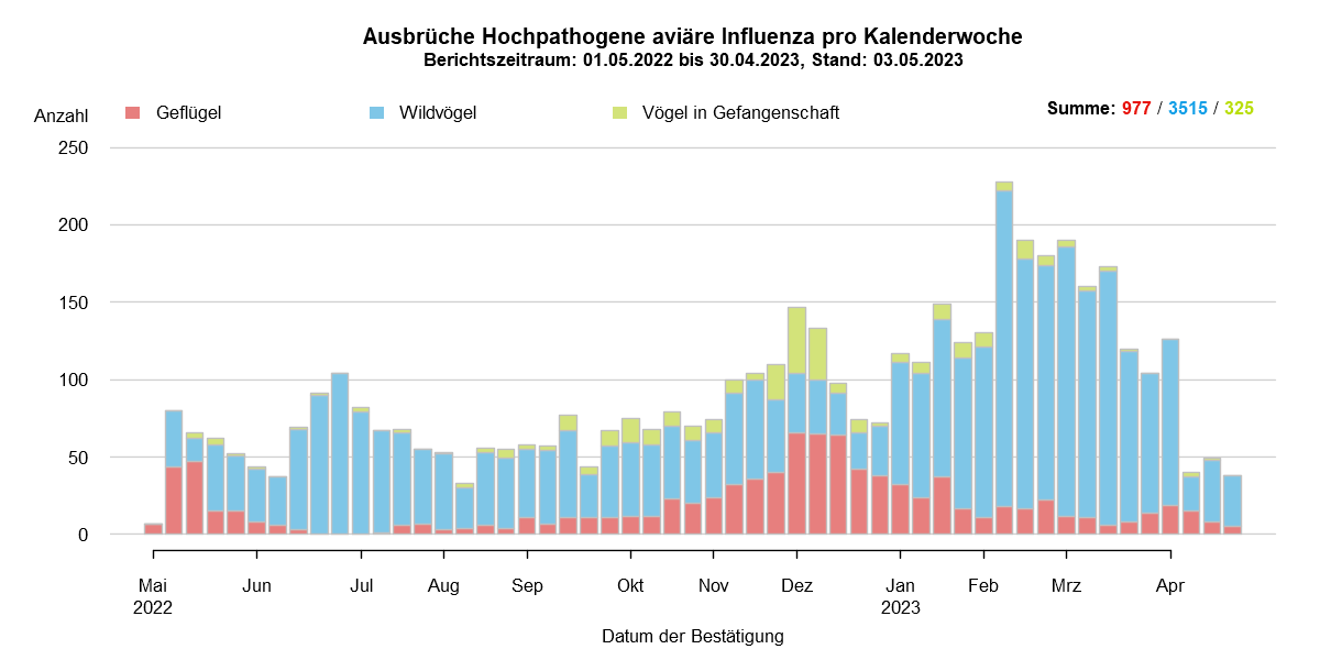 Verlaufsgrafik zu HPAI-Fällen in Europa: Im Zuge des Frühjahrzuges der Wildvögel im April und Mai 2021 wurden vermehrt Fälle bei Wildvögeln festgestellt. Auch in den Sommermonaten wurde durchgehend eine geringe Fallzahl von HPAI bei Nicht-Geflügel eingemeldet. Mit Beginn des Herbstzuges ab November 2021 kam es zu einem drastischen Anstieg der Fälle bei Wildvögeln mit steigenden Fallzahlen auch beim Hausgeflügel. Im Januar 2022 kam es zu einem erneuten starken Anstieg der Fälle, wobei hauptsächlich Wildvögel betroffen waren. Ab Februar sind die Fallzahlen wieder rückläufig, im März folgte ein starker Anstieg der Fallzahlen bei Geflügel durch zwei Cluster im Westen Frankreichs. Mit Beginn der Sommermonate 2022 sinken die Ausbruchszahlen in Europa stark. Das Seuchengeschehen kommt jedoch nicht ganz zum Erliegen und Ende Juni steigt die Zahl der gemeldeten Ausbrüche wieder leicht.