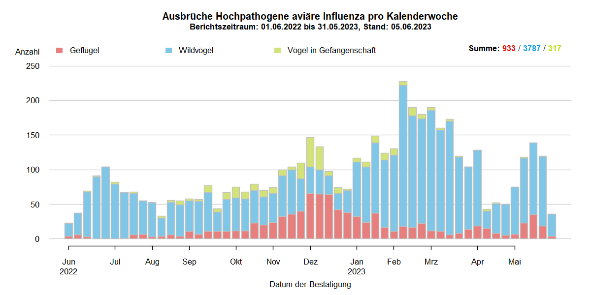 Verlaufsgrafik zu HPAI-Fällen in Europa: Im Zuge des Frühjahrzuges der Wildvögel im April und Mai 2021 wurden vermehrt Fälle bei Wildvögeln festgestellt. Auch in den Sommermonaten wurde durchgehend eine geringe Fallzahl von HPAI bei Nicht-Geflügel eingemeldet. Mit Beginn des Herbstzuges ab November 2021 kam es zu einem drastischen Anstieg der Fälle bei Wildvögeln mit steigenden Fallzahlen auch beim Hausgeflügel. Im Januar 2022 kam es zu einem erneuten starken Anstieg der Fälle, wobei hauptsächlich Wildvögel betroffen waren. Ab Februar sind die Fallzahlen wieder rückläufig, im März folgte ein starker Anstieg der Fallzahlen bei Geflügel durch zwei Cluster im Westen Frankreichs. Mit Beginn der Sommermonate 2022 sinken die Ausbruchszahlen in Europa stark. Das Seuchengeschehen kommt jedoch nicht ganz zum Erliegen und Ende Juni steigt die Zahl der gemeldeten Ausbrüche wieder leicht.