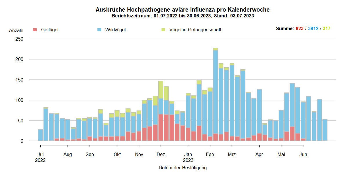 Verlaufsgrafik zu HPAI-Fällen in Europa: Im Zuge des Frühjahrzuges der Wildvögel im April und Mai 2021 wurden vermehrt Fälle bei Wildvögeln festgestellt. Auch in den Sommermonaten wurde durchgehend eine geringe Fallzahl von HPAI bei Nicht-Geflügel eingemeldet. Mit Beginn des Herbstzuges ab November 2021 kam es zu einem drastischen Anstieg der Fälle bei Wildvögeln mit steigenden Fallzahlen auch beim Hausgeflügel. Im Januar 2022 kam es zu einem erneuten starken Anstieg der Fälle, wobei hauptsächlich Wildvögel betroffen waren. Ab Februar sind die Fallzahlen wieder rückläufig, im März folgte ein starker Anstieg der Fallzahlen bei Geflügel durch zwei Cluster im Westen Frankreichs. Mit Beginn der Sommermonate 2022 sinken die Ausbruchszahlen in Europa stark. Das Seuchengeschehen kommt jedoch nicht ganz zum Erliegen und Ende Juni steigt die Zahl der gemeldeten Ausbrüche wieder leicht.