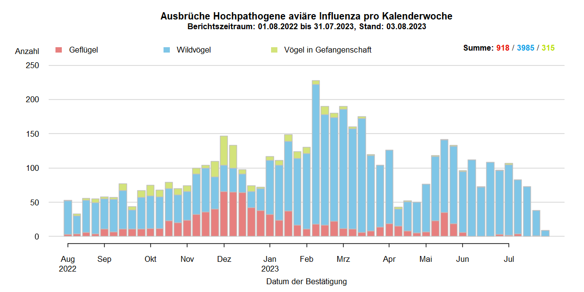 Verlaufsgrafik zu HPAI-Fällen in Europa: Im Zuge des Frühjahrzuges der Wildvögel im April und Mai 2021 wurden vermehrt Fälle bei Wildvögeln festgestellt. Auch in den Sommermonaten wurde durchgehend eine geringe Fallzahl von HPAI bei Nicht-Geflügel eingemeldet. Mit Beginn des Herbstzuges ab November 2021 kam es zu einem drastischen Anstieg der Fälle bei Wildvögeln mit steigenden Fallzahlen auch beim Hausgeflügel. Im Januar 2022 kam es zu einem erneuten starken Anstieg der Fälle, wobei hauptsächlich Wildvögel betroffen waren. Ab Februar sind die Fallzahlen wieder rückläufig, im März folgte ein starker Anstieg der Fallzahlen bei Geflügel durch zwei Cluster im Westen Frankreichs. Mit Beginn der Sommermonate 2022 sinken die Ausbruchszahlen in Europa stark. Das Seuchengeschehen kommt jedoch nicht ganz zum Erliegen und Ende Juni steigt die Zahl der gemeldeten Ausbrüche wieder leicht.