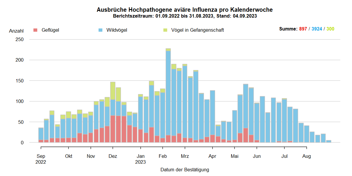 Verlaufsgrafik zu HPAI-Fällen in Europa: Im Zuge des Frühjahrzuges der Wildvögel im April und Mai 2021 wurden vermehrt Fälle bei Wildvögeln festgestellt. Auch in den Sommermonaten wurde durchgehend eine geringe Fallzahl von HPAI bei Nicht-Geflügel eingemeldet. Mit Beginn des Herbstzuges ab November 2021 kam es zu einem drastischen Anstieg der Fälle bei Wildvögeln mit steigenden Fallzahlen auch beim Hausgeflügel. Im Januar 2022 kam es zu einem erneuten starken Anstieg der Fälle, wobei hauptsächlich Wildvögel betroffen waren. Ab Februar sind die Fallzahlen wieder rückläufig, im März folgte ein starker Anstieg der Fallzahlen bei Geflügel durch zwei Cluster im Westen Frankreichs. Mit Beginn der Sommermonate 2022 sinken die Ausbruchszahlen in Europa stark. Das Seuchengeschehen kommt jedoch nicht ganz zum Erliegen und Ende Juni steigt die Zahl der gemeldeten Ausbrüche wieder leicht.