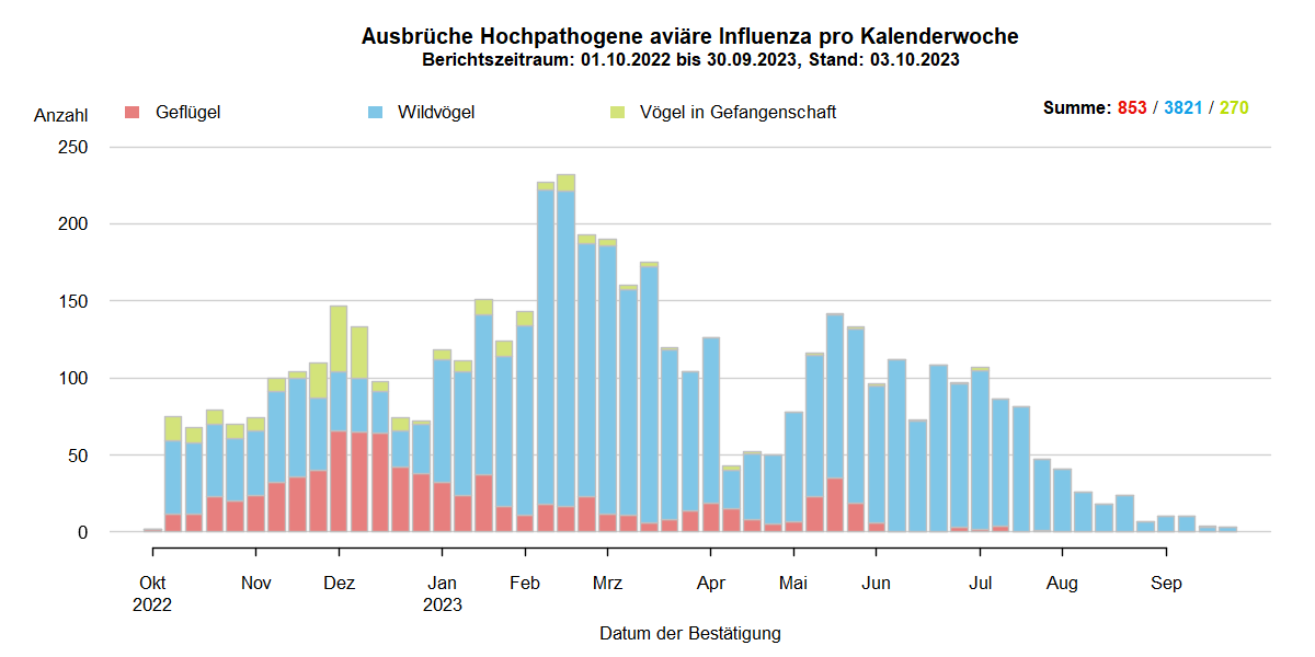 Verlaufsgrafik zu HPAI-Ausbrüchen in Europa: mit Beginn der HPAI-Saison 2022/2023 steigen im Oktober 2022 die Ausbruchszahlen an. Vermehrt sind auch Geflügelbestände und Vögel in Gefangenschaft in Europa betroffen. Im Frühjahr 2023 steigen die Ausbruchszahlen bei Wildvögeln bis April weiter stark an, während Geflügel und Vögel in Gefangenschaft nur noch selten betroffen sind. In den Sommermonaten 2023 kommt es aufgrund von Massenstreben in Brutkolonien von Seevögeln (Lachmöwen und Flusseeschwalben) zu einem erneuten starken Anstieg der Ausbrüche bei Wildvögeln. Bis zum September 2023 sinkt die Zahl dieser Ausbrüche auf wenige Meldungen, bei Geflügel und Vögeln in Gefangenschaft kommt das Seuchengeschehen fast gänzlich zum Erliegen.