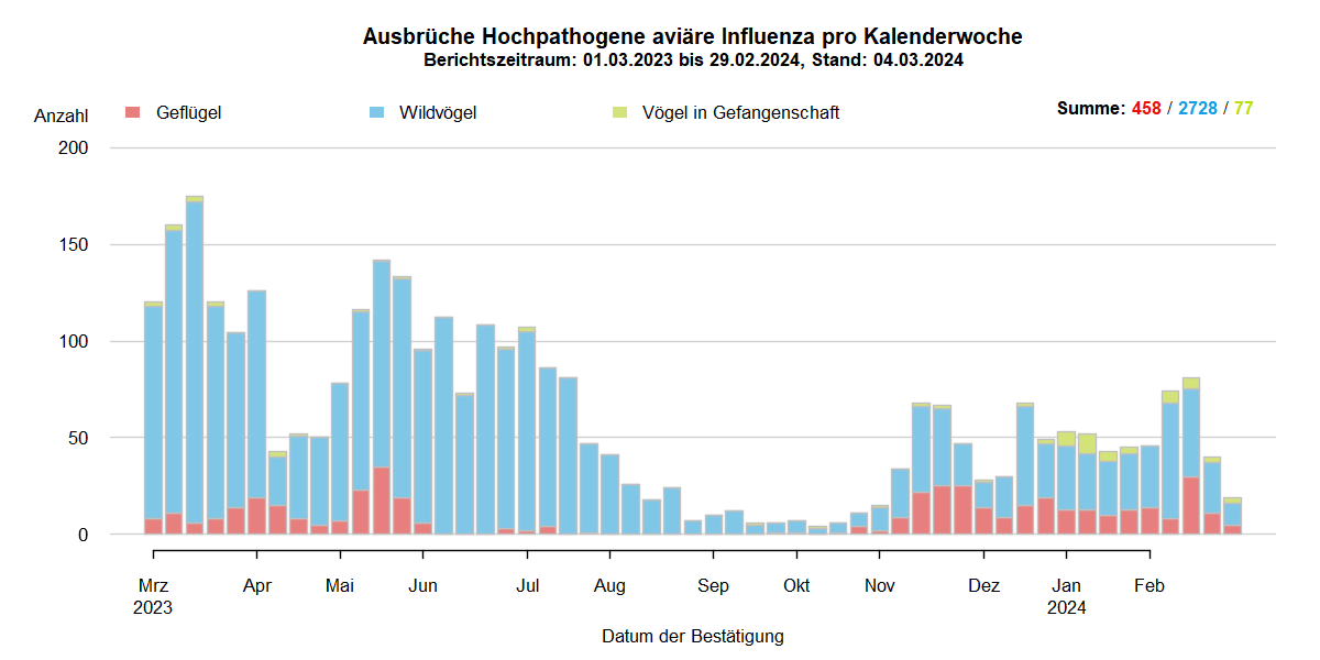 Verlaufsgrafik zu HPAI-Ausbrüchen in Europa: mit Beginn der HPAI-Saison 2022/2023 steigen im Oktober 2022 die Ausbruchszahlen an. Vermehrt sind auch Geflügelbestände und Vögel in Gefangenschaft in Europa betroffen. Im Frühjahr 2023 steigen die Ausbruchszahlen bei Wildvögeln bis April weiter stark an, während Geflügel und Vögel in Gefangenschaft nur noch selten betroffen sind. In den Sommermonaten 2023 kommt es aufgrund von Massenstreben in Brutkolonien von Seevögeln (Lachmöwen und Flussseeschwalben) zu einem erneuten starken Anstieg der Ausbrüche bei Wildvögeln. Bis zum September 2023 sinkt die Zahl dieser Ausbrüche auf wenige Meldungen, bei Geflügel und Vögeln in Gefangenschaft kommt das Seuchengeschehen fast gänzlich zum Erliegen. Ab Oktober 2023 steigen die Ausbruchszahlen wieder an, besonders bei Wildvögeln.