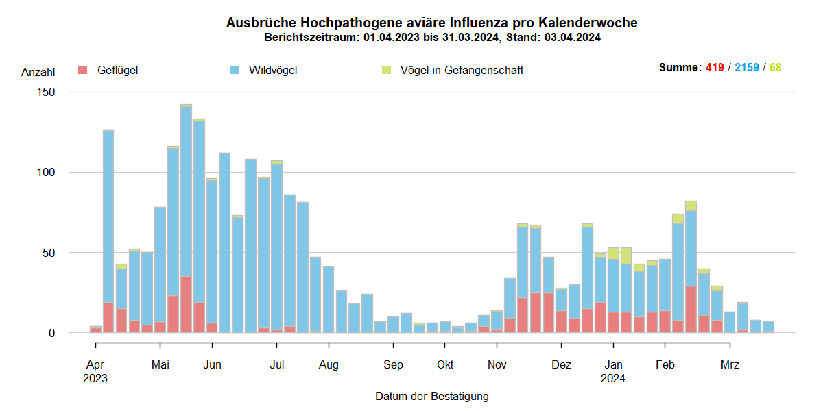 Verlaufsgrafik zu HPAI-Ausbrüchen in Europa: mit Beginn der HPAI-Saison 2022/2023 steigen im Oktober 2022 die Ausbruchszahlen an. Vermehrt sind auch Geflügelbestände und Vögel in Gefangenschaft in Europa betroffen. Im Frühjahr 2023 steigen die Ausbruchszahlen bei Wildvögeln bis April weiter stark an, während Geflügel und Vögel in Gefangenschaft nur noch selten betroffen sind. In den Sommermonaten 2023 kommt es aufgrund von Massenstreben in Brutkolonien von Seevögeln (Lachmöwen und Flussseeschwalben) zu einem erneuten starken Anstieg der Ausbrüche bei Wildvögeln. Bis zum September 2023 sinkt die Zahl dieser Ausbrüche auf wenige Meldungen, bei Geflügel und Vögeln in Gefangenschaft kommt das Seuchengeschehen fast gänzlich zum Erliegen. Ab Oktober 2023 steigen die Ausbruchszahlen wieder an, besonders bei Wildvögeln.