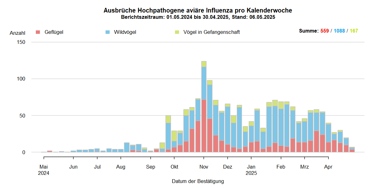Verlaufsgrafik zu HPAI-Ausbrüchen in Europa: mit Beginn der HPAI-Saison 2024/2025 steigen im Oktober 2024 die Ausbruchszahlen an. Vermehrt sind auch Geflügelbestände und Vögel in Gefangenschaft in Europa betroffen. Die Ausbruchszahlen bei Wildvögeln steigen aktuell weiter stark an.