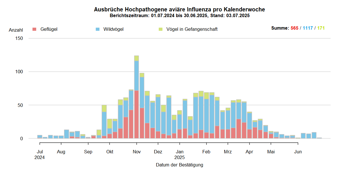 Verlaufsgrafik zu HPAI-Ausbrüchen in Europa: mit Beginn der HPAI-Saison 2024/2025 steigen im Oktober 2024 die Ausbruchszahlen an. Vermehrt sind auch Geflügelbestände und Vögel in Gefangenschaft in Europa betroffen. Die Ausbruchszahlen sinken mit Ende des Winters deutlich. Aktuell sind Geflügelbestände in Europ nicht betroffen, nur eine Haltung von Vögeln in Gefangenschaft. Auch Wildvögel sind vergleichsweise wenig betroffen.