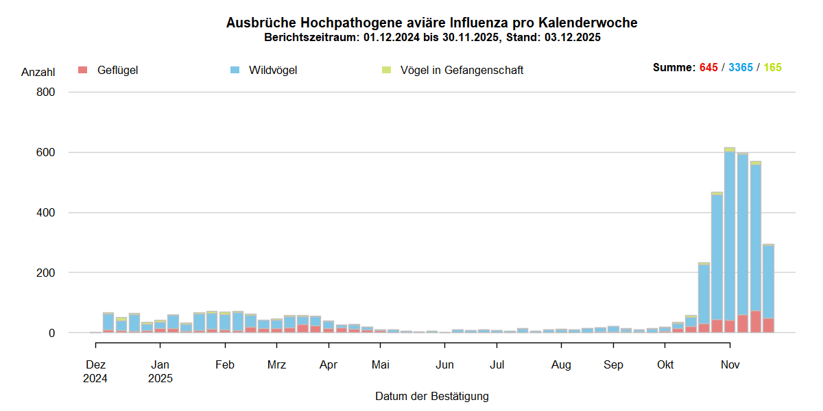 Verlaufsgrafik der letzten zwölf Monate zu HPAI-Ausbrüchen in Europa: In den Sommermonaten nur wenige Ausbrüche in Europa. Mit Beginn der HPAI-Saison 2025/2026 steigen ab September 2025 die Ausbruchszahlen bei Wildvögeln stark an. Vermehrt sind auch Geflügelbestände und Vögel in Gefangenschaft in Europa betroffen.