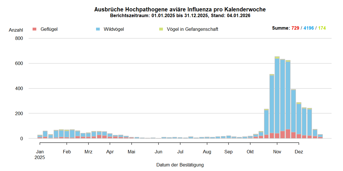 Verlaufsgrafik der letzten zwölf Monate zu HPAI-Ausbrüchen in Europa: In den Sommermonaten nur wenige Ausbrüche in Europa. Mit Beginn der HPAI-Saison 2025/2026 steigen ab September 2025 die Ausbruchszahlen bei Wildvögeln stark an. Vermehrt sind auch Geflügelbestände und Vögel in Gefangenschaft in Europa betroffen.
