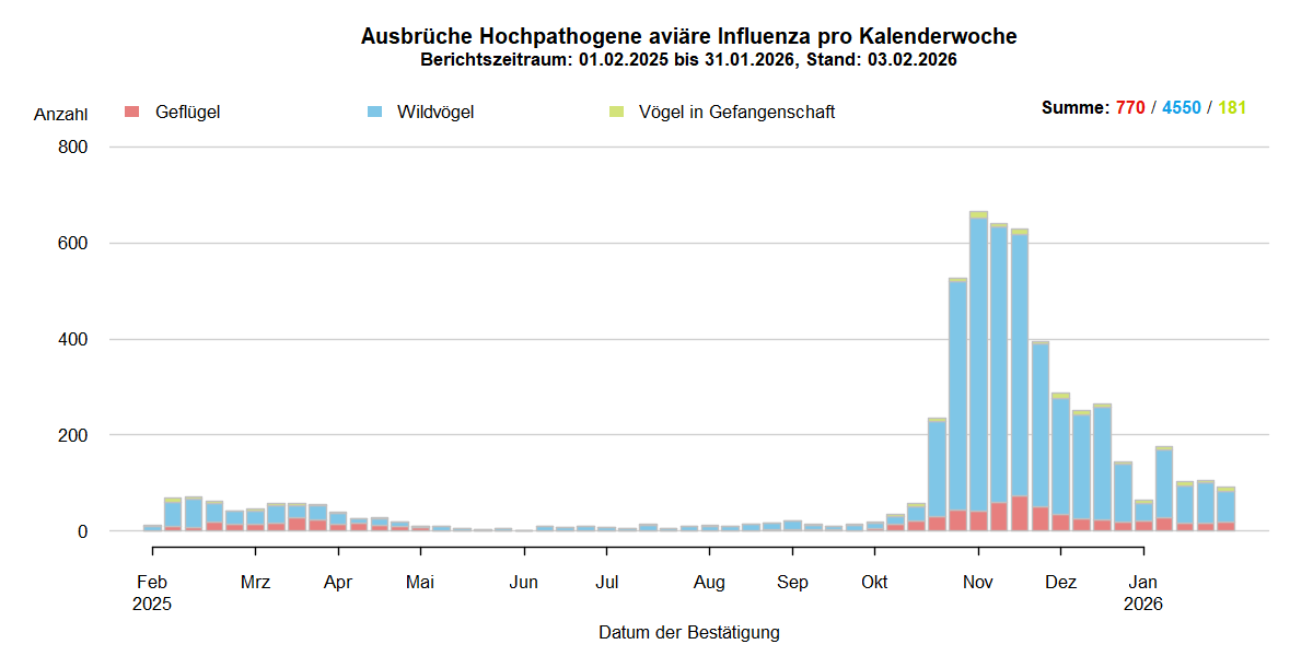 Verlaufsgrafik der letzten zwölf Monate zu HPAI-Ausbrüchen in Europa: In den Sommermonaten nur wenige Ausbrüche in Europa. Mit Beginn der HPAI-Saison 2025/2026 steigen ab September 2025 die Ausbruchszahlen bei Wildvögeln stark an. Vermehrt sind auch Geflügelbestände und Vögel in Gefangenschaft in Europa betroffen.