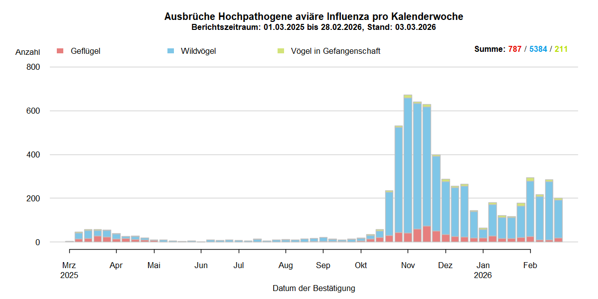Verlaufsgrafik der letzten zwölf Monate zu HPAI-Ausbrüchen in Europa: In den Sommermonaten nur wenige Ausbrüche in Europa. Mit Beginn der HPAI-Saison 2025/2026 steigen ab September 2025 die Ausbruchszahlen bei Wildvögeln stark an. Vermehrt sind auch Geflügelbestände und Vögel in Gefangenschaft in Europa betroffen.