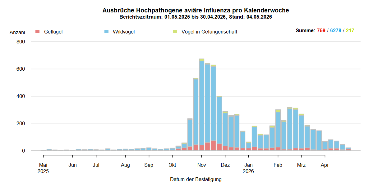 Verlaufsgrafik der letzten zwölf Monate zu HPAI-Ausbrüchen in Europa: In den Sommermonaten nur wenige Ausbrüche in Europa. Mit Beginn der HPAI-Saison 2025/2026 steigen ab September 2025 die Ausbruchszahlen bei Wildvögeln stark an. Vermehrt sind auch Geflügelbestände und Vögel in Gefangenschaft in Europa betroffen. Nach dem Höhepunkt der Ausbrüche im November 2025 sank die Zahl der Ausbrüche bis Januar, steigen dann jedoch bis März wieder. Ab März ist erneut ein Absinken der Ausbruchszahlen zu beobachten, die Zahl bleibt jedoch auf hohem Niveau.
