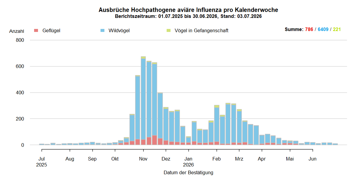 Verlaufsgrafik der letzten zwölf Monate zu HPAI-Ausbrüchen in Europa wie im Kapitel Situation in Europa beschrieben. In den Sommermonaten 2025 nur wenige Ausbrüche in Europa. Mit Beginn der HPAI-Saison 2025/2026 steigen ab September 2025 die Ausbruchszahlen bei Wildvögeln stark an. Vermehrt sind auch Geflügelbestände und Vögel in Gefangenschaft in Europa betroffen. Nach dem Höhepunkt der Ausbrüche im November 2025 sank die Zahl der Ausbrüche bis Januar, steigen dann jedoch bis März wieder. Ab März ist erneut ein Absinken der Ausbruchszahlen zu beobachten, die Zahl bleibt jedoch auf hohem Niveau. Ab April sinken die Ausbruchszahlen in Europa deutlich und im Juni gehen die Ausbrüche weiter stark zurück.   