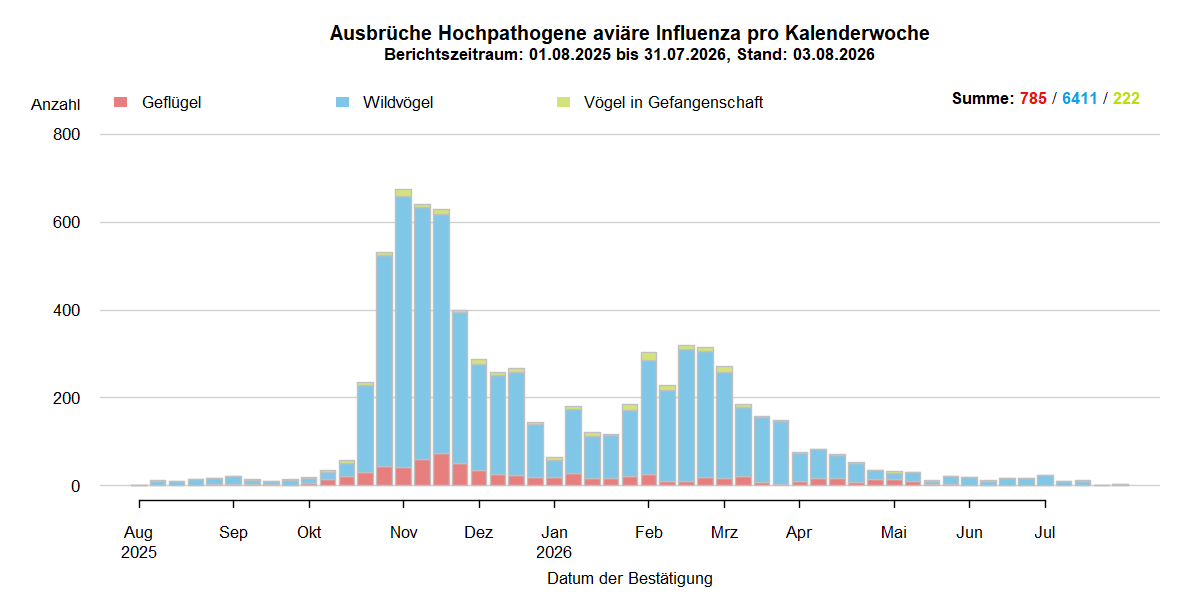 Verlaufsgrafik der letzten zwölf Monate zu HPAI-Ausbrüchen in Europa wie im Kapitel Situation in Europa beschrieben. In den Sommermonaten 2025 nur wenige Ausbrüche in Europa. Mit Beginn der HPAI-Saison 2025/2026 steigen ab September 2025 die Ausbruchszahlen bei Wildvögeln stark an. Vermehrt sind auch Geflügelbestände und Vögel in Gefangenschaft in Europa betroffen. Nach dem Höhepunkt der Ausbrüche im November 2025 sank die Zahl der Ausbrüche bis Januar, steigen dann jedoch bis März wieder. Ab März ist erneut ein Absinken der Ausbruchszahlen zu beobachten, die Zahl bleibt jedoch auf hohem Niveau. Ab April sinken die Ausbruchszahlen in Europa deutlich und im Juni gehen die Ausbrüche weiter stark zurück.