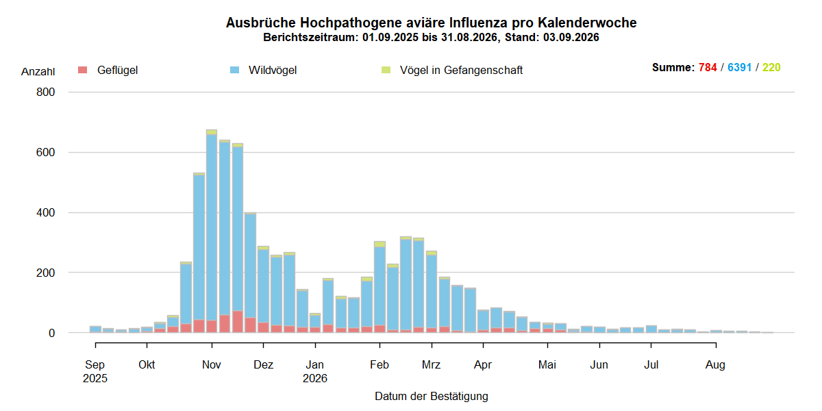Verlaufsgrafik der letzten zwölf Monate zu HPAI-Ausbrüchen in Europa wie im Kapitel Situation in Europa beschrieben. In den Sommermonaten 2025 nur wenige Ausbrüche in Europa. Mit Beginn der HPAI-Saison 2025/2026 steigen ab September 2025 die Ausbruchszahlen bei Wildvögeln stark an. Vermehrt sind auch Geflügelbestände und Vögel in Gefangenschaft in Europa betroffen. Nach dem Höhepunkt der Ausbrüche im November 2025 sank die Zahl der Ausbrüche bis Januar, steigen dann jedoch bis März wieder. Ab März ist erneut ein Absinken der Ausbruchszahlen zu beobachten, die Zahl bleibt jedoch auf hohem Niveau. Ab April sinken die Ausbruchszahlen in Europa deutlich und im Juni gehen die Ausbrüche weiter stark zurück.