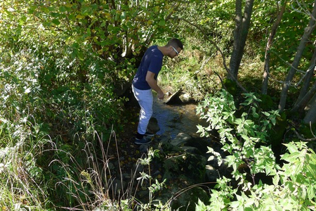 © App "Tick Cue tick: scrubby stream bank