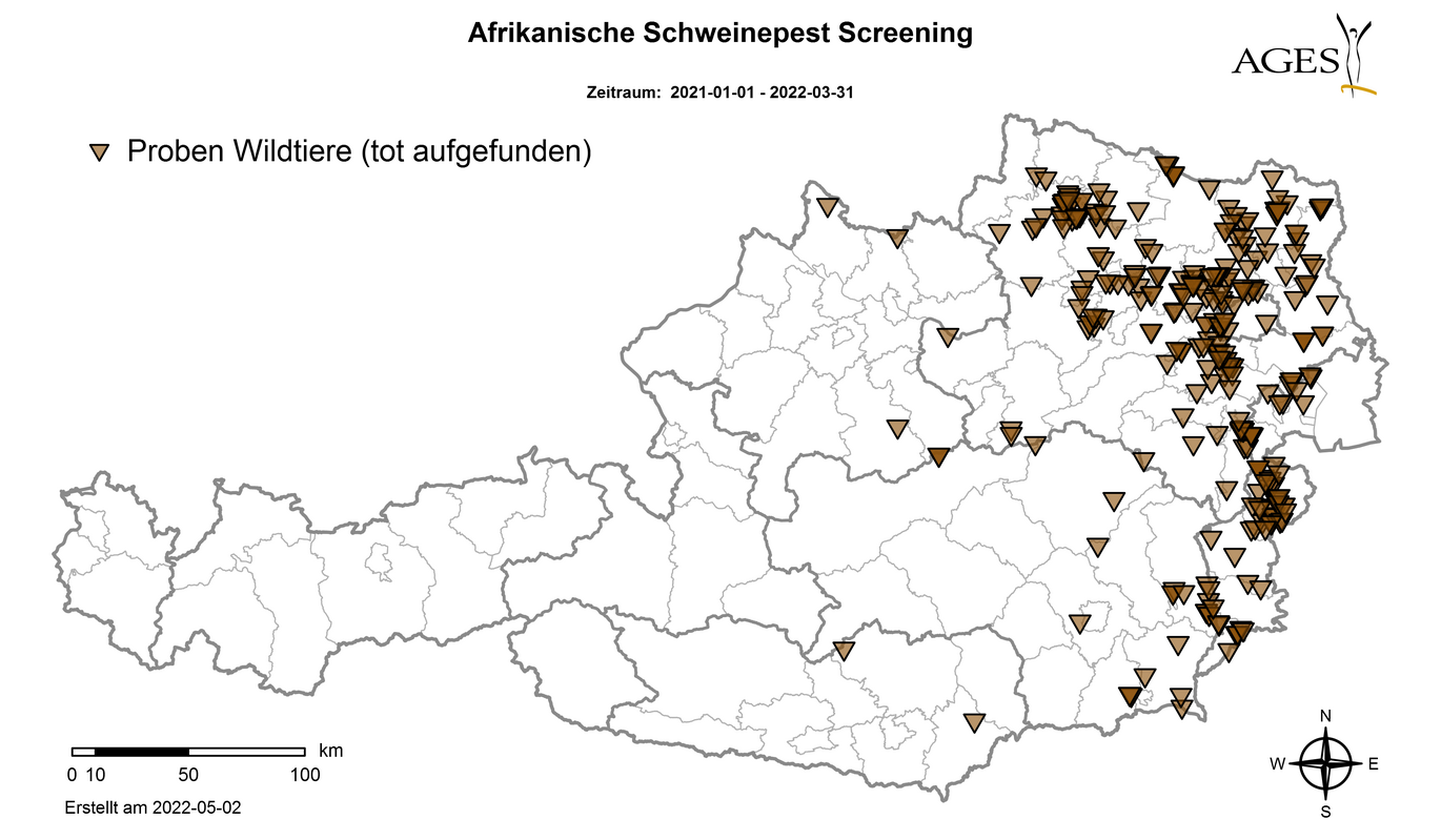 Afrikanische Schweinepest, Screening: Fundorte toter Wildschweine 2022 (Vergrößert das Bild in einem Dialog Fenster)