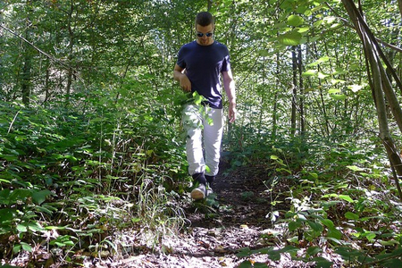 © App "Tick Danger of ticks when brushing against bushes and ground vegetation.