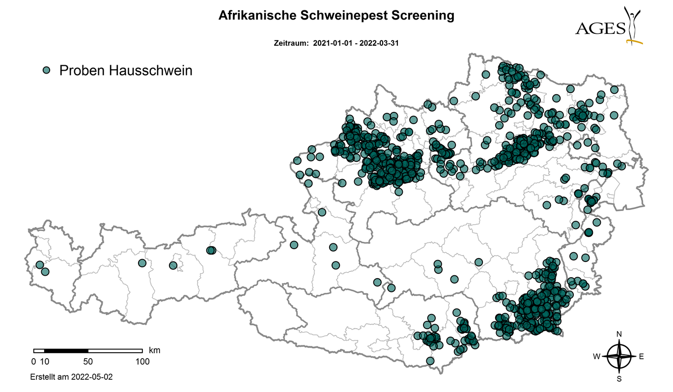 Afrikanische Schweinepest, Screening: Proben Hauschweine 2022 (Vergrößert das Bild in einem Dialog Fenster)